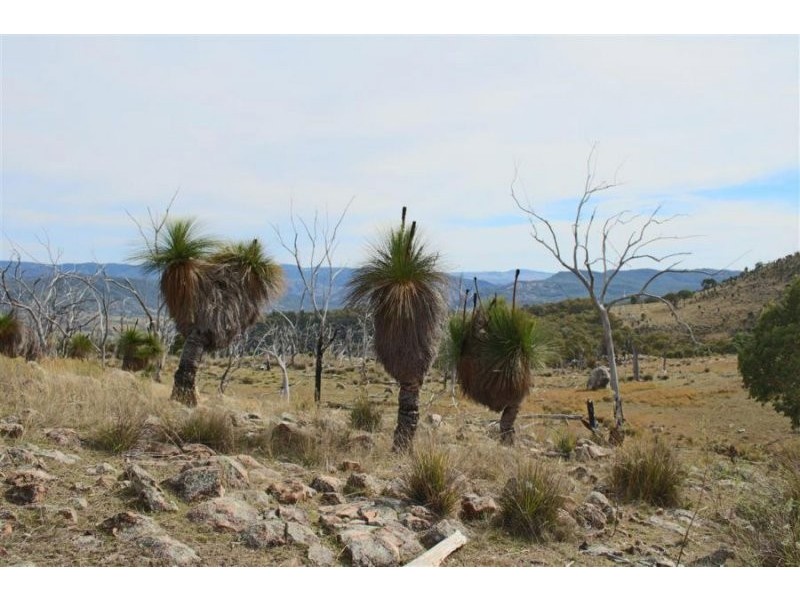 1759a Mount Mackenzie Road, Tenterfield NSW 2372