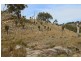 1759a Mount Mackenzie Road, Tenterfield NSW 2372