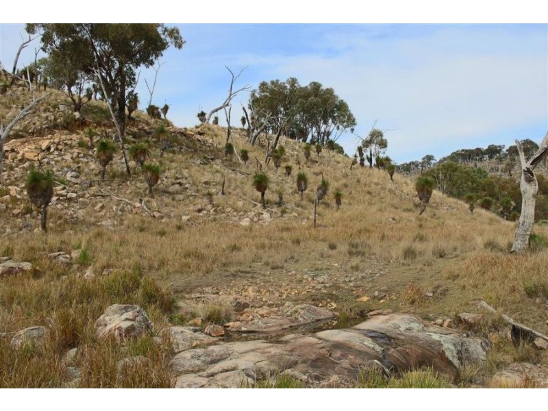 1759a Mount Mackenzie Road, Tenterfield NSW 2372