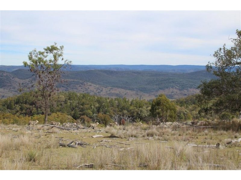 1759a Mount Mackenzie Road, Tenterfield NSW 2372
