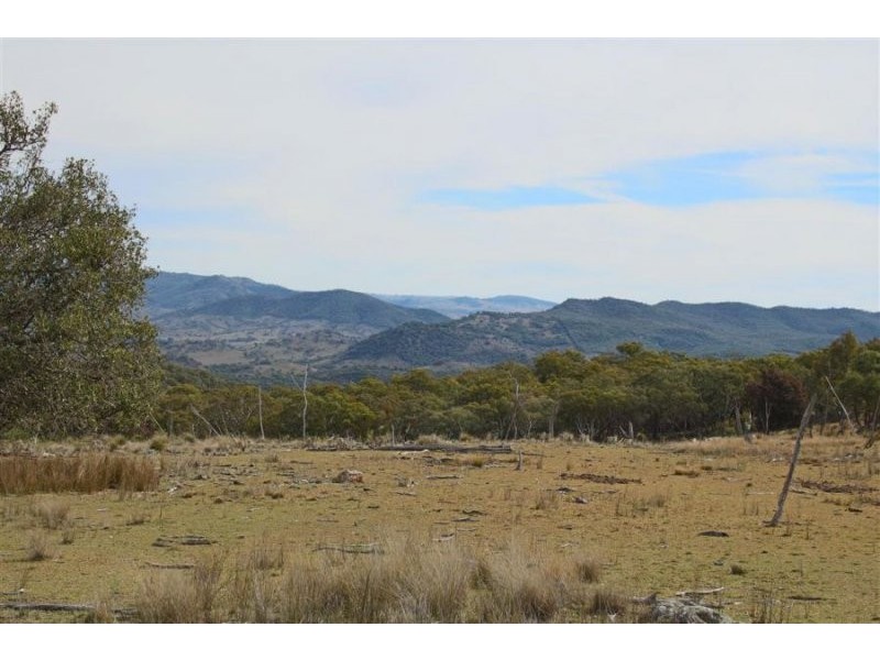 1759a Mount Mackenzie Road, Tenterfield NSW 2372