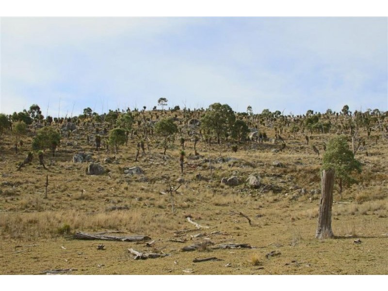 1759a Mount Mackenzie Road, Tenterfield NSW 2372