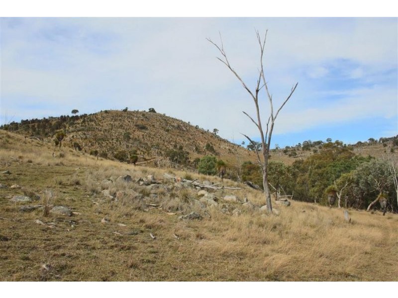 1759a Mount Mackenzie Road, Tenterfield NSW 2372