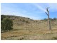1759a Mount Mackenzie Road, Tenterfield NSW 2372
