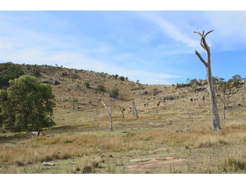 1759a Mount Mackenzie Road, Tenterfield NSW 2372