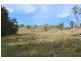 1759a Mount Mackenzie Road, Tenterfield NSW 2372