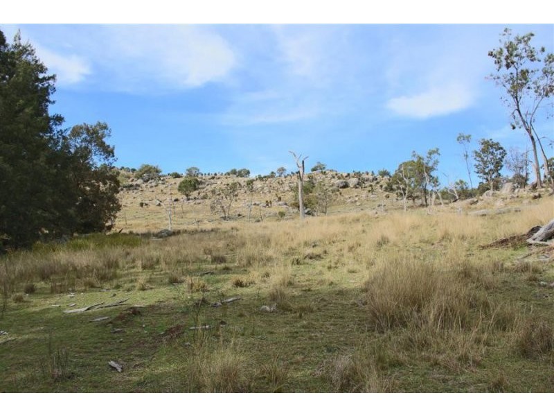 1759a Mount Mackenzie Road, Tenterfield NSW 2372