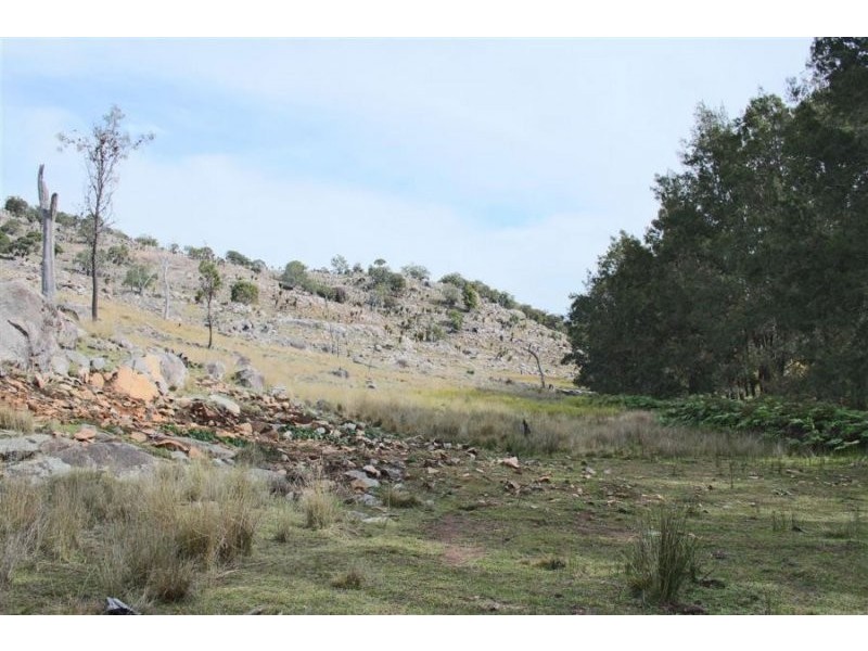 1759a Mount Mackenzie Road, Tenterfield NSW 2372