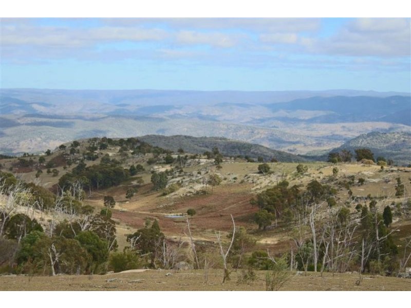 466 Gunyah Road, Tenterfield NSW 2372