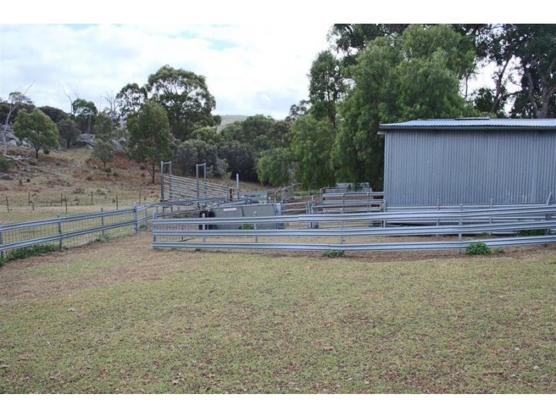 466 Gunyah Road, Tenterfield NSW 2372