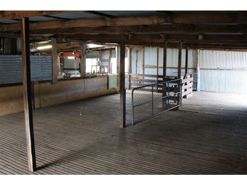 466 Gunyah Road, Tenterfield NSW 2372