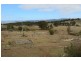 466 Gunyah Road, Tenterfield NSW 2372