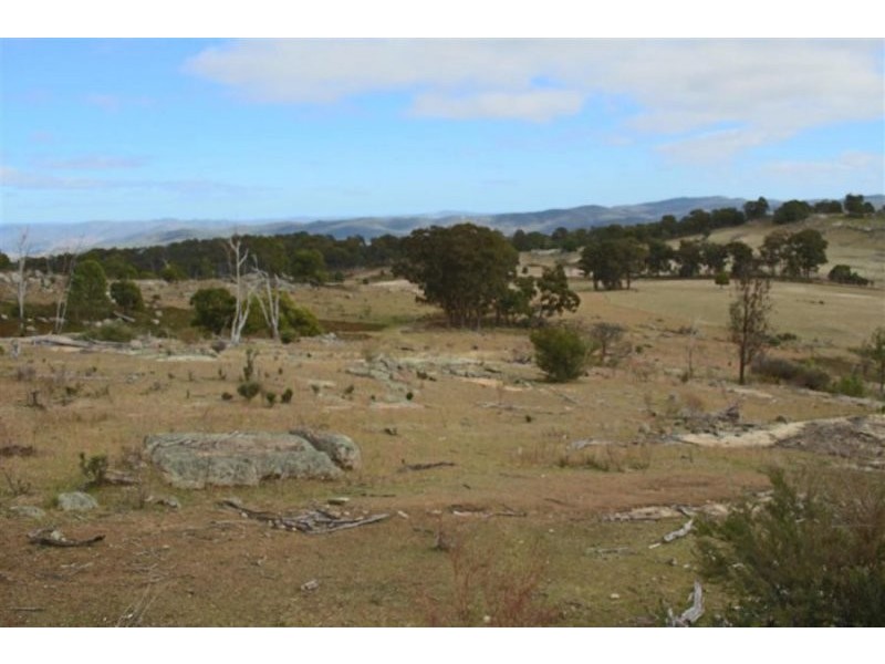 466 Gunyah Road, Tenterfield NSW 2372