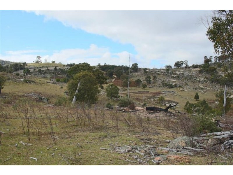 466 Gunyah Road, Tenterfield NSW 2372