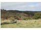 466 Gunyah Road, Tenterfield NSW 2372