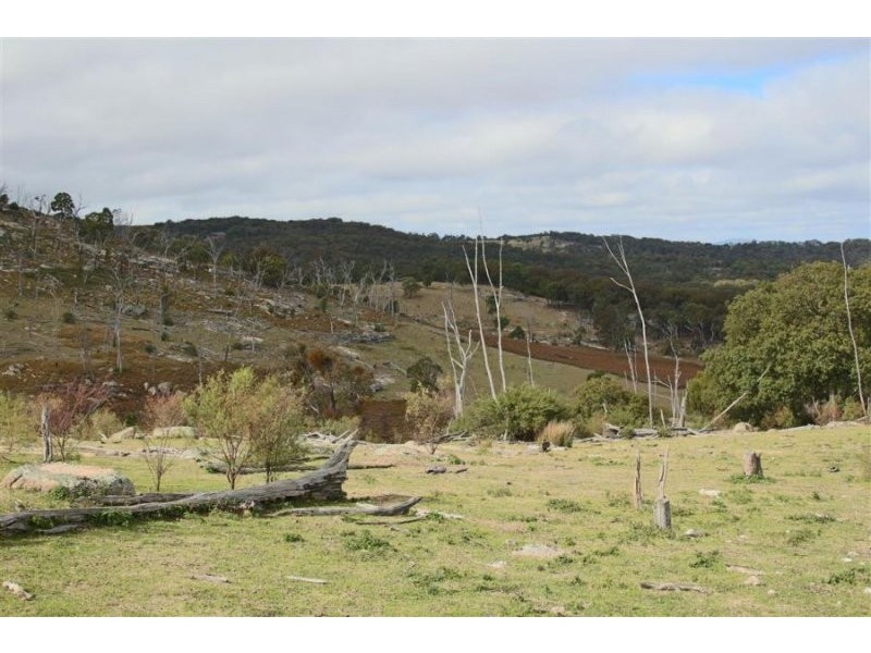 466 Gunyah Road, Tenterfield NSW 2372