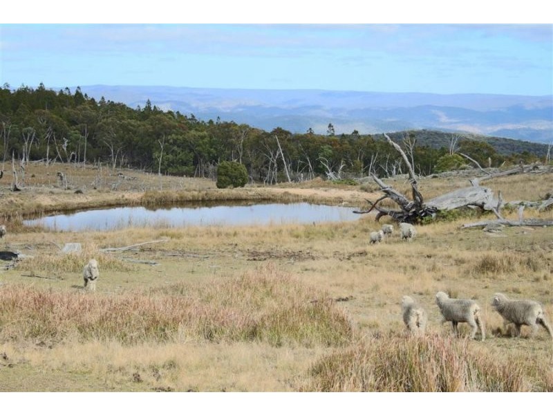 466 Gunyah Road, Tenterfield NSW 2372