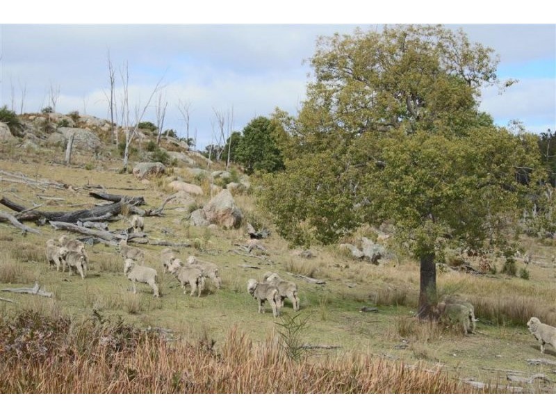 466 Gunyah Road, Tenterfield NSW 2372