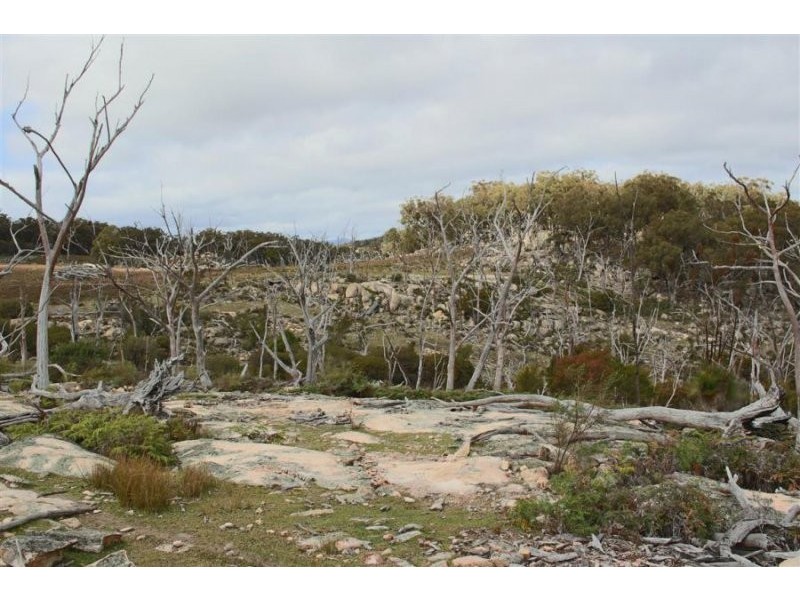 466 Gunyah Road, Tenterfield NSW 2372