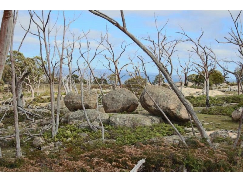 466 Gunyah Road, Tenterfield NSW 2372