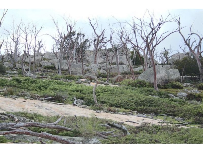 466 Gunyah Road, Tenterfield NSW 2372