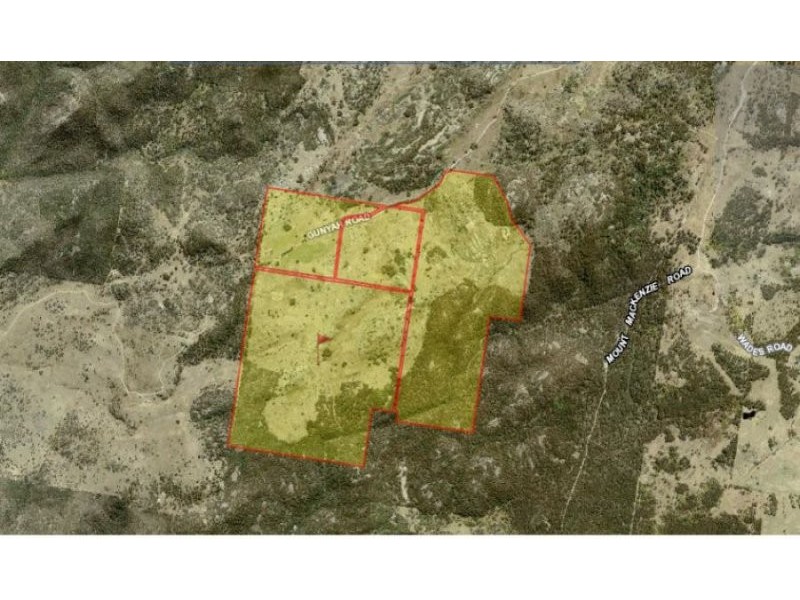 466 Gunyah Road, Tenterfield NSW 2372