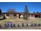 20 Aldershot Road, Tenterfield NSW 2372