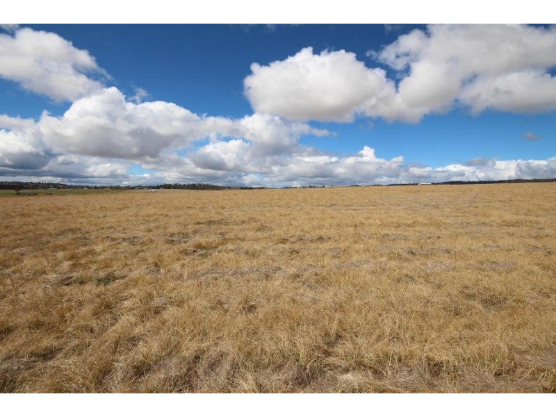 Lot 4 East Street, Tenterfield NSW 2372