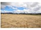 Lot 4 East Street, Tenterfield NSW 2372
