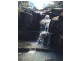 Silent Grove Road, Silent Grove NSW 2372