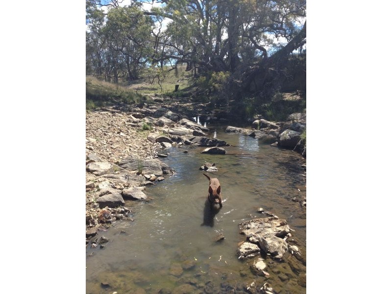 Silent Grove Road, Silent Grove NSW 2372