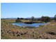 157 Nutshell Road, Tenterfield NSW 2372