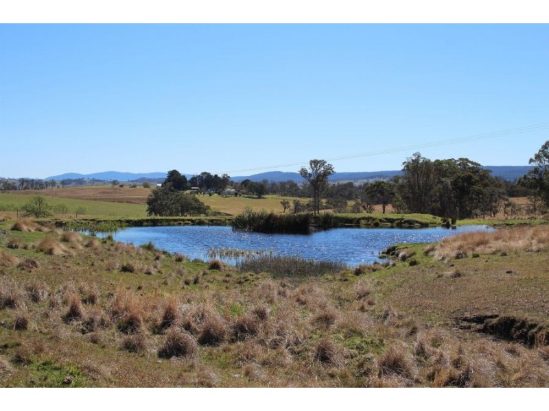 157 Nutshell Road, Tenterfield NSW 2372