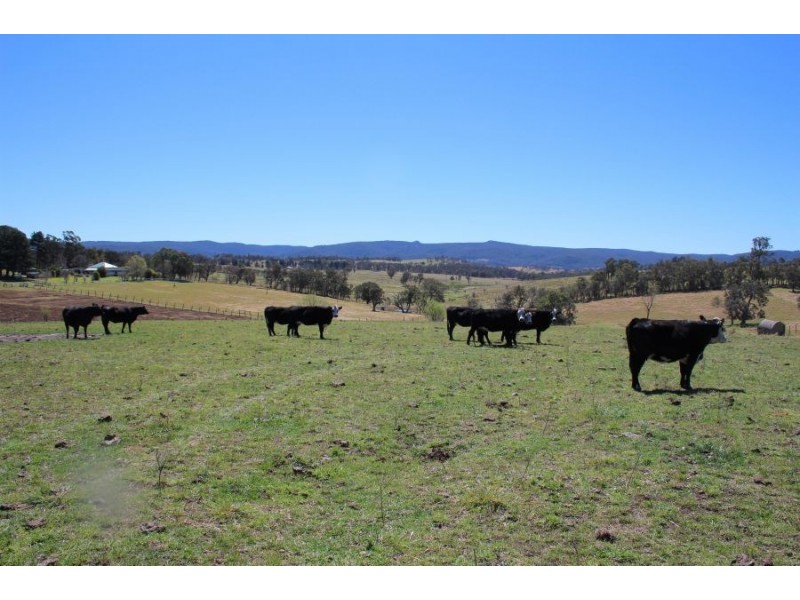 157 Nutshell Road, Tenterfield NSW 2372