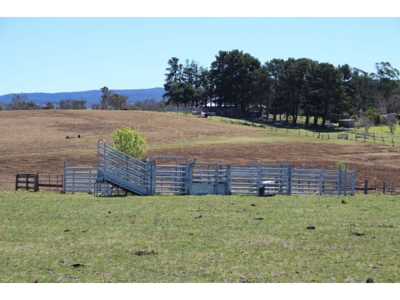 157 Nutshell Road, Tenterfield NSW 2372