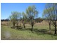 157 Nutshell Road, Tenterfield NSW 2372