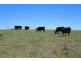 157 Nutshell Road, Tenterfield NSW 2372