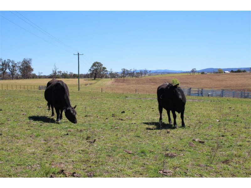157 Nutshell Road, Tenterfield NSW 2372