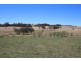 157 Nutshell Road, Tenterfield NSW 2372