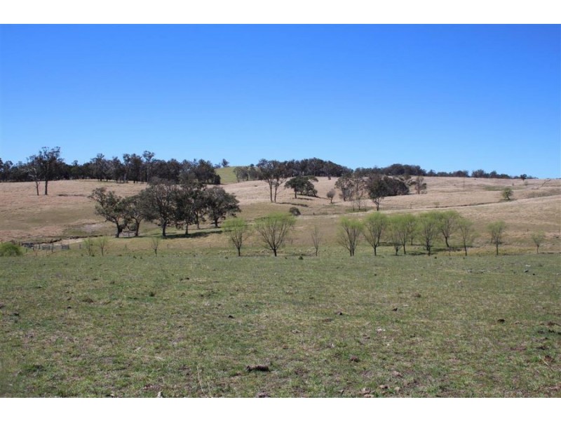157 Nutshell Road, Tenterfield NSW 2372
