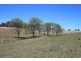 157 Nutshell Road, Tenterfield NSW 2372
