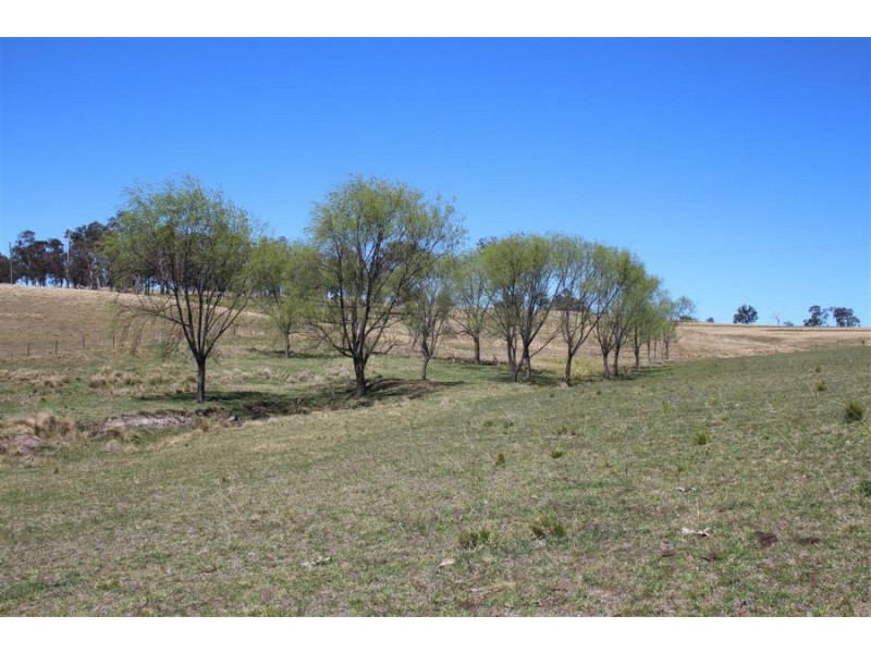 157 Nutshell Road, Tenterfield NSW 2372