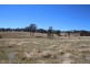 157 Nutshell Road, Tenterfield NSW 2372