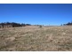 157 Nutshell Road, Tenterfield NSW 2372