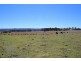 157 Nutshell Road, Tenterfield NSW 2372