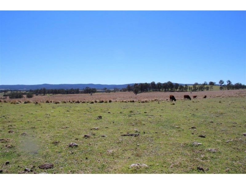 157 Nutshell Road, Tenterfield NSW 2372