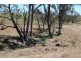 157 Nutshell Road, Tenterfield NSW 2372