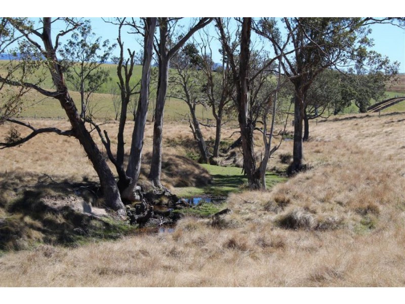 157 Nutshell Road, Tenterfield NSW 2372