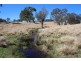 157 Nutshell Road, Tenterfield NSW 2372