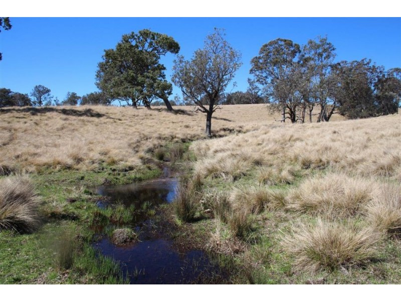 157 Nutshell Road, Tenterfield NSW 2372